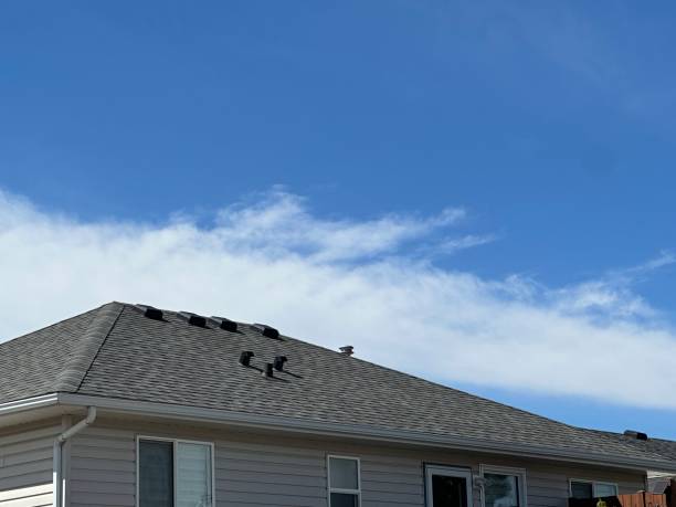 Best Hot Roofs  in Boise, ID